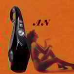 Audiophile Neuroscience